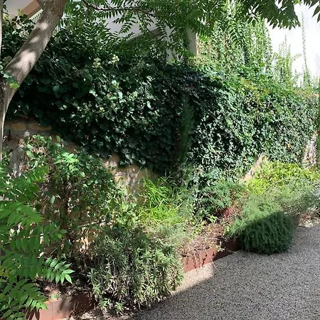 Διαμέρισμα Natural En Centre Avec Et Jardin