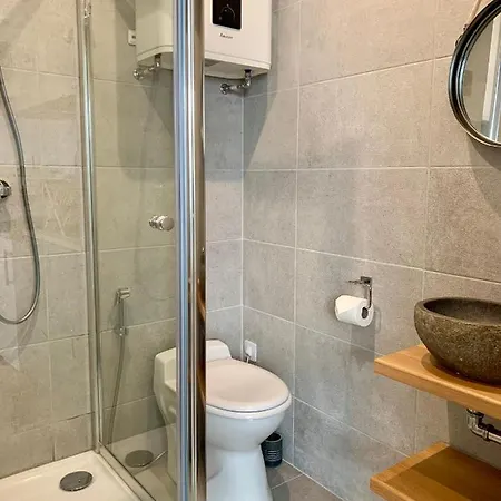 Апартаменты Natural En Centre Avec Et Jardin Дижон