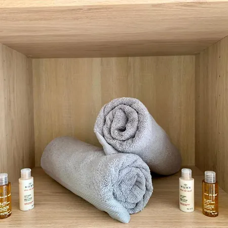 Apartman Natural En Centre Avec Et Jardin Dijon