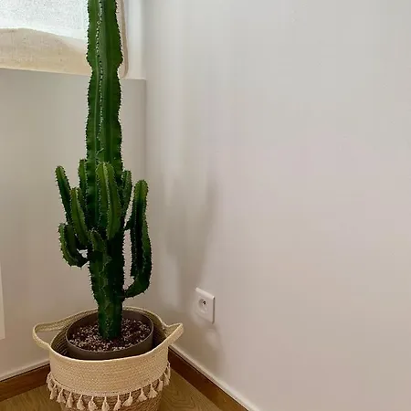 Natural En Centre Avec Et Jardin Апартаменты *