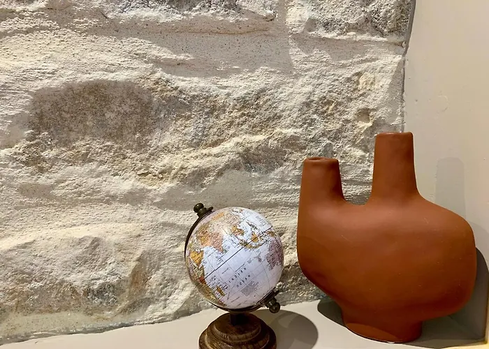 Natural En Centre Avec Et Jardin Dijon