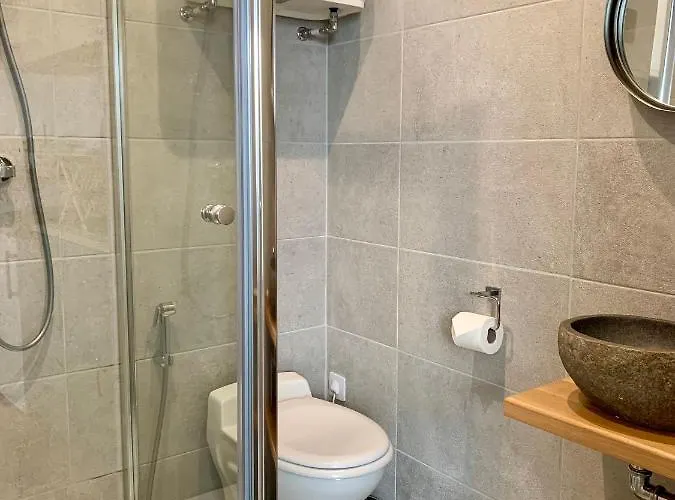 Lägenhet Natural En Centre Avec Et Jardin Dijon